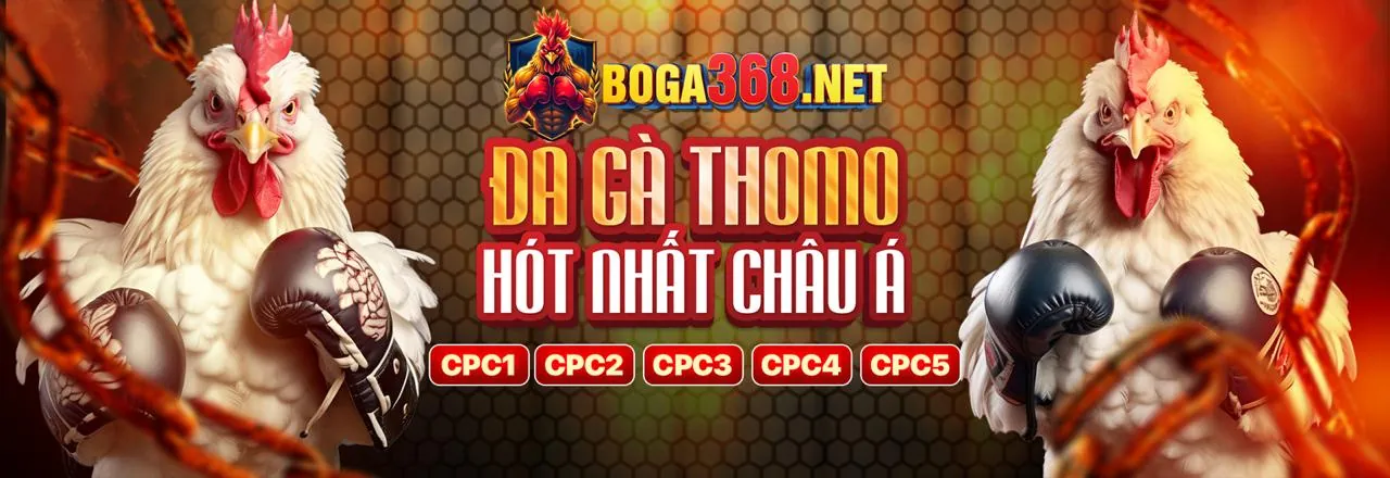 Cá cược thể thao 28bets